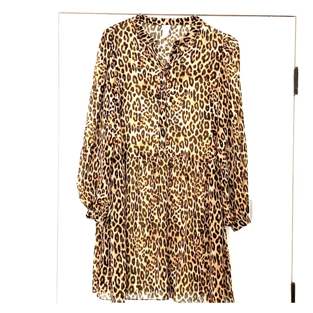 H&M Leopard Print Mini Dress